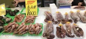 IMG_3437