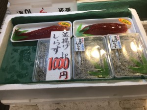 IMG_6794
