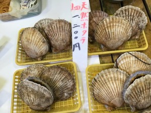IMG_7241
